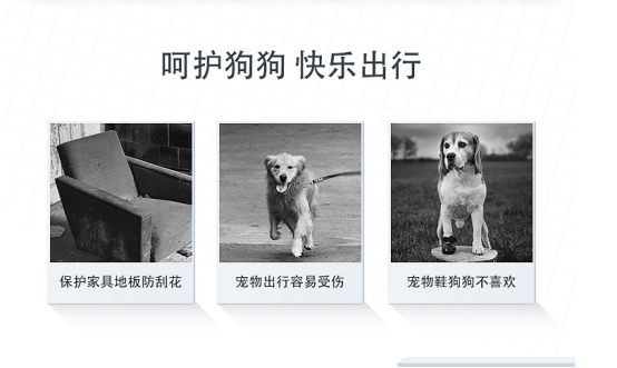 嗬護狗狗的爪貼